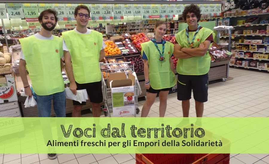 Voci dal territorio - raccolta alimenti freschi Vr Est